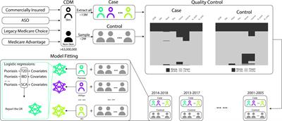 Large-scale epidemiological analysis of common skin diseases to identify shared and unique comorbidities and demographic factors